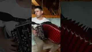 Айрат Абзалов. Халык  кое. Самарадан  сэлэтле гармунчы.