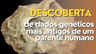 Descoberta de dados genéticos mais antigos de um parente humano fóssil | Falando em Ciência #50