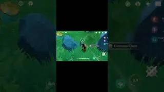 Did I missed all this chests or mihoyo respawn them? 😱