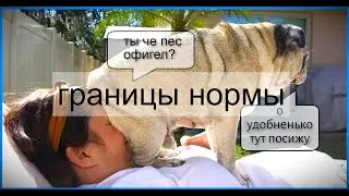 ЧТО такое НОРМА ?