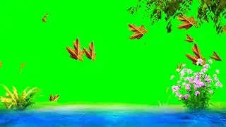 nature green screen background|beautiful nature green screen video