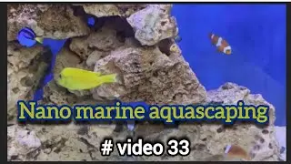 How To Aquascape a Nano Saltwater Aquarium || Afsha's fish world ||  kolkata #video33 #marinefish