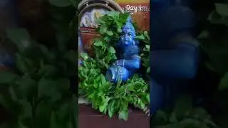 For my Little Krishna🤍- Tulasi mala