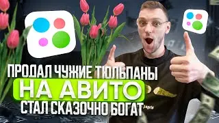 ОПЕРАЦИЯ БОМЖЕБРОНЯ ИЛИ ПРОДАЕМ ТЮЛЬПАНЫ НА АВИТО