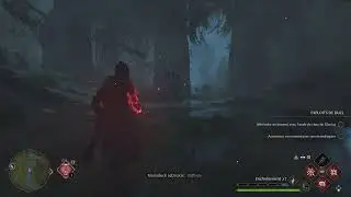 Hogwarts Legacy : Most powerfull dps build