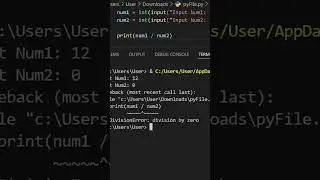 Try Except in Python