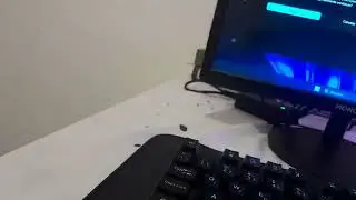 I QUIT - Dandys World Has BSOD (Windows 11)