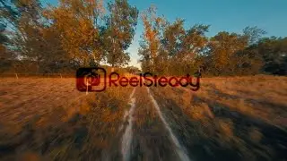 Test Reelsteady Go // Session 5 + Ziptie mount