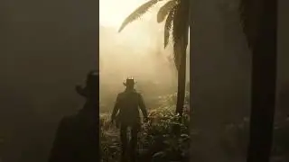 RDR 2♥️