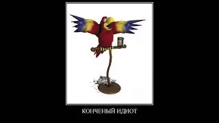 В главных ролях