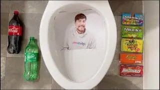 Will it Flush? - MrBeast, Karl Jacobs, Chandler, Chris Tyson, Coca Cola, Fanta, Orbeez, Candy