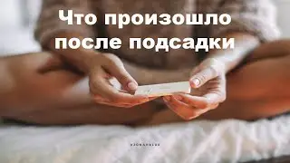 Что произошло после подсадки |Наступила ли беременность |Я беременна ?