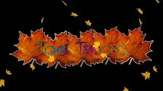 Tik tok intro 7 color ( intro seven color ) intro no name nocopyright no text