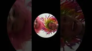 Педро педро