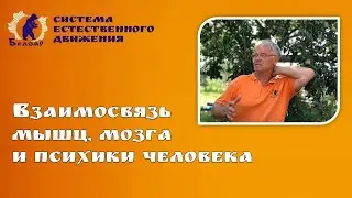 Взаимосвязь мышц, мозга и психики человека