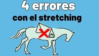 4 errores importantes para enseñar o practicar stretchig a los caballos, beneficios del stretching