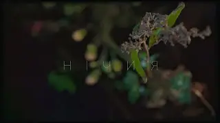 LELÉKA - Нічия (OFFICIAL VIDEO)