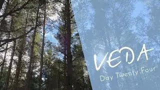 VEDA DAY 24: OUTSIDE