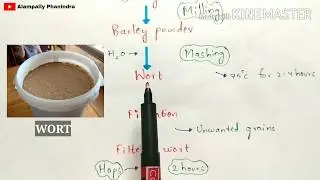Preperation of Beer | Production of Beer by fermentation | Alcohol production by fermentation