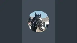 Самандар Кенжаев в прямом эфире!