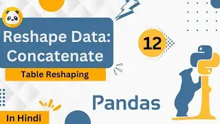 Reshape Data: Concatenate | Table Reshaping | Introduction to Pandas | #pandas #python #leetcode
