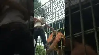 Думал погладил и бросил… Нет уж! Женись теперь! 😂😄😄