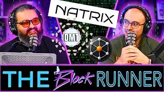 How $NAT/DMT/NATRIX All Tie Together | Explaining The Vision | TBR #238
