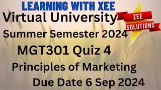 MGT301 Principles of Marketing Quiz 4 Summer 2024 Virtual University of Pakistan