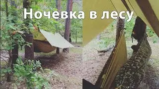 Overnight stay in the woods! Hammock.