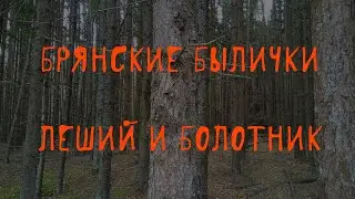 🌲 Леший и болотник | Жуть в брянском лесу | В. Д. Глебов | Брянские былички | 151–164