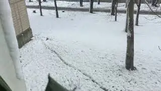 Ранняя ❄️