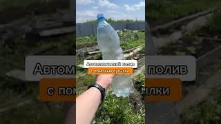 Это работает! Как сделать полив без насоса из бочки