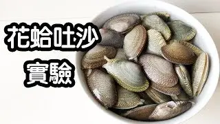 [Experiment of removing sand from clams] (with subtitles)