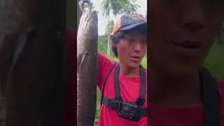 Luar Biasa!!!! Dapat Ikan Raksasa #mancing #mancingmania #fishing