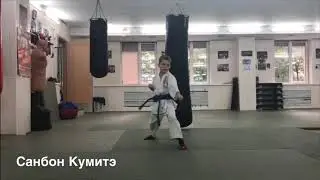 Санбон Кумитэ. Eremenko’Dojo.