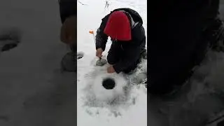 Щука #2023 #2024