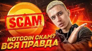 NotCoin - НЕ ВЕДИСЬ (скам) | Закупай TON coin