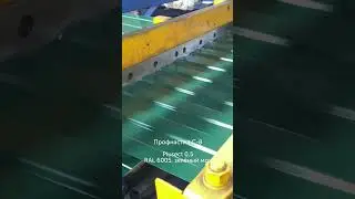 Профнастил С-8, Зелёный мох