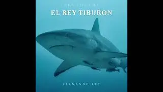 El Rey Tiburon ( Cha cha cha )