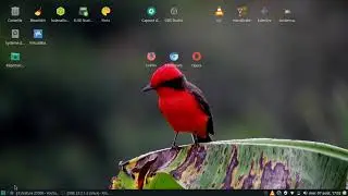 Manjaro Linux VS VLC multimedia/ FR