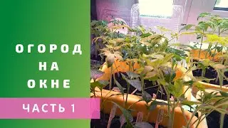 Проект 