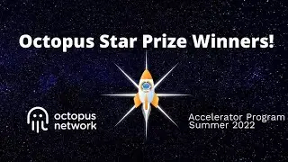 Победители приза Octopus Star — Accelerator Program, лето 2022