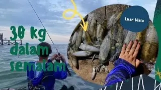 Luar biasa dapat hasil 30 kg DALAM SEMALAM  ‼️ ini hari yang bagus untuk mancing cumi ‼️PART 1