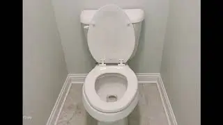 Toilet Flush - [HD] Sound Effect