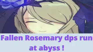 [HI3 SEA] Fallen Rosemary DPS at exalted RL abyss 656 score (372 disturbance)