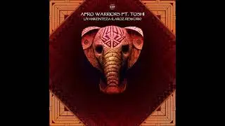 Afro Warriors ft  Toshi - Uyankenteza (Laroz Rework)