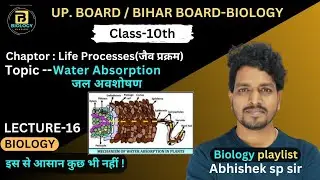 Water Absorption | Life Processes | Class-10 Biology | @Abhishekspsir