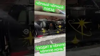 ЧЁРНЫЙ ЧЁРНЫЙ ПОЕЗД УХОДИТ В ЧЁРНУЮ ЧЁРНУЮ НОЧЬ!!!