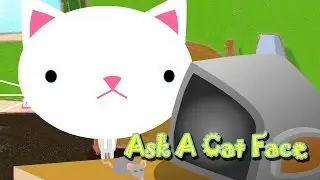 Kittenhood : Ask A Cat Face