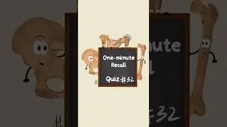 Recall Card 32 | Bones | Osteology | Anatomy